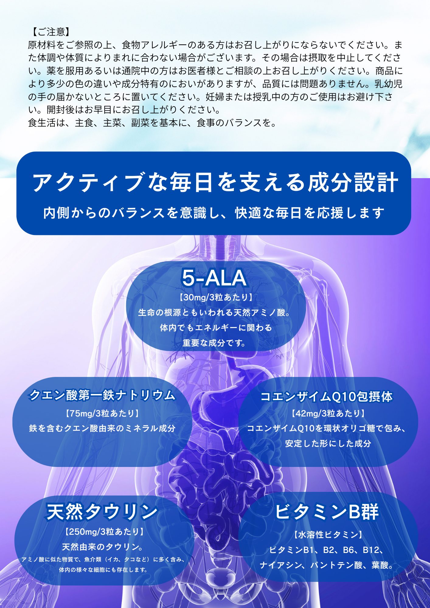 Mito Flow ミトフロー